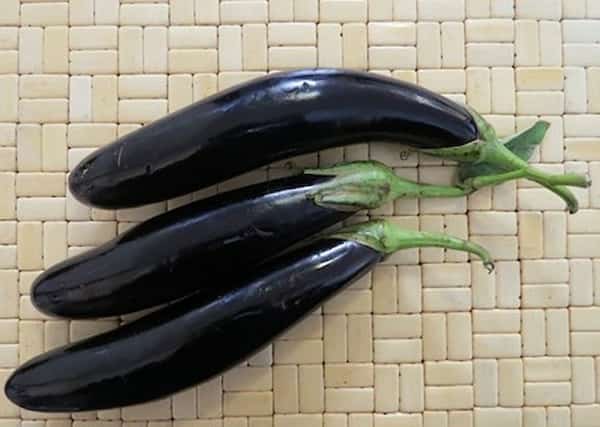 تصویر 3 از قیمت خرید بادمجان قلمی گلخانه ای + فروش ویژه